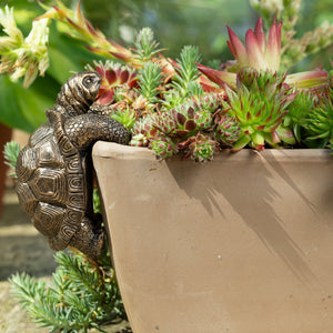 Tortoise Plant Pot Hanger | Tortoise Pot Buddy | www.justgardening.com