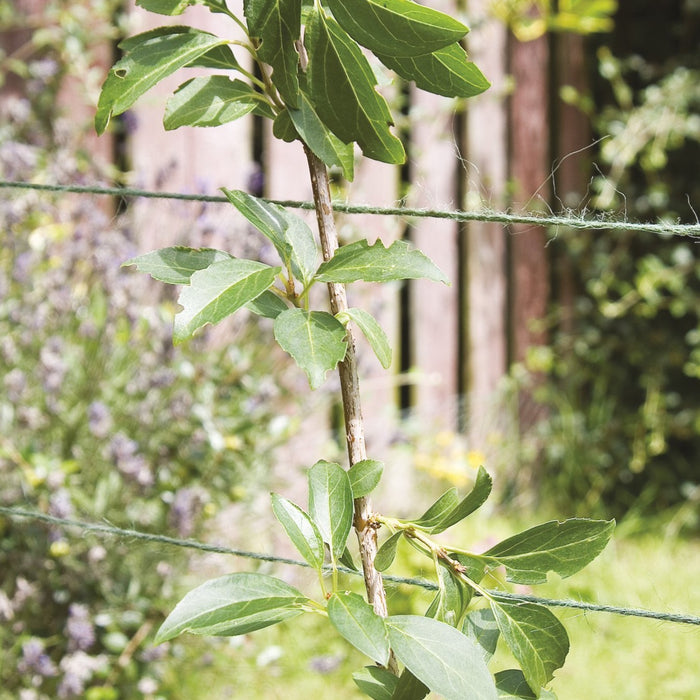 Jute Garden Twine (Green) - Length 150m