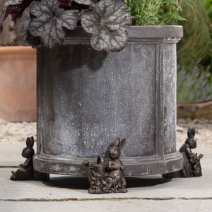 Beatrix Potter - Peter Rabbit Plant Pot Feet - Set of 3 | www.justgardening.com