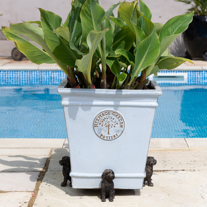 Potty Feet 'Cockapoo' - Plant Pot Feet (Set of 3)