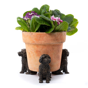 Cockapoo - Plant Pot Feet | Cockapoo Potty Feet | www.justgardening.com