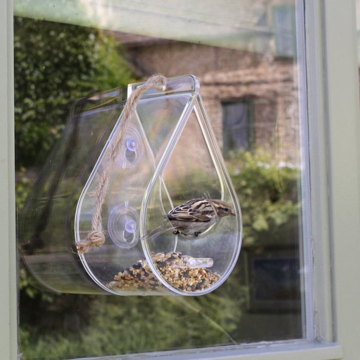 Wildlife World Dewdrop Window Bird Feeder