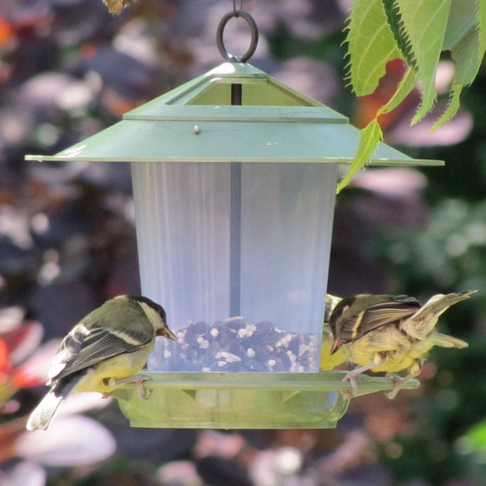 Wildlife World Eco Beacon Bird Feeder