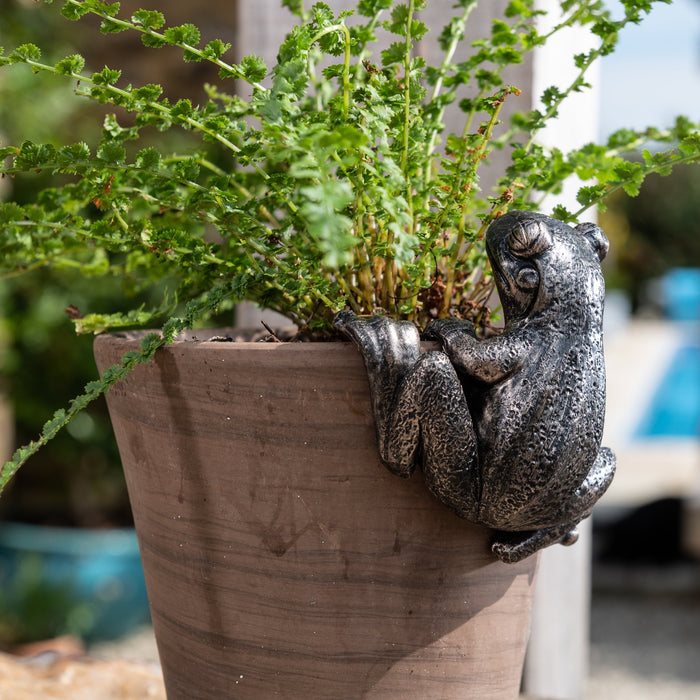 Pot Buddy 'Frog' - Plant Pot Hanger
