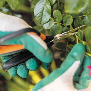Fiskars Solid Snip Pruning Shears SP15 | www.JustGardening.com