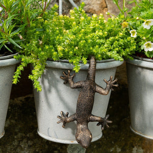 Pot Buddy 'Gecko' - Plant Pot Hanger | www.justgardening.com