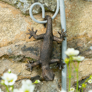 Pot Buddy 'Gecko' - Plant Pot Hanger | www.justgardening.com