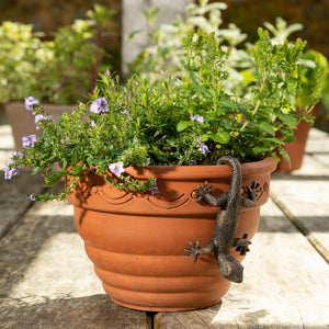 Pot Buddy 'Gecko' - Plant Pot Hanger | www.justgardening.com