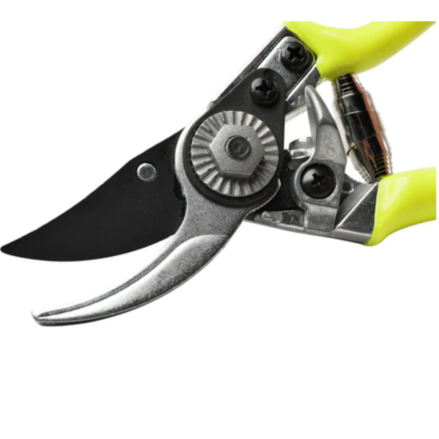 Burgon and ball pruning saw deals