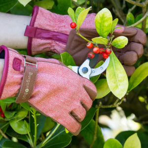 Burgon & Ball - Love The Glove RED TWEED - Ladies Gardening Gloves | www.justgardening.com