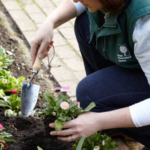 Burgon & Ball Stainless Hand Trowel - RHS Endorsed | www.justgardening.com