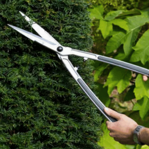 Burgon & Ball Precision Shear - RHS Endorsed | www.justgardening.com