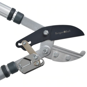 Burgon & Ball Telescopic Ratchet Lopper - RHS Endorsed | www.justgardening.com