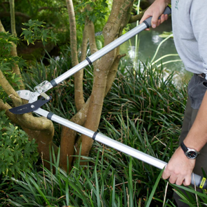 Burgon & Ball Telescopic Ratchet Lopper - RHS Endorsed | www.justgardening.com