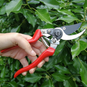 Burgon & Ball Left-handed Bypass Secateurs - RHS Endorsed | www.justgardening.com