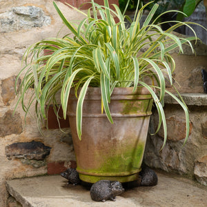 Hedgehog Plant Pot Feet | Hedgehog Potty Feet | www.justgardening.com