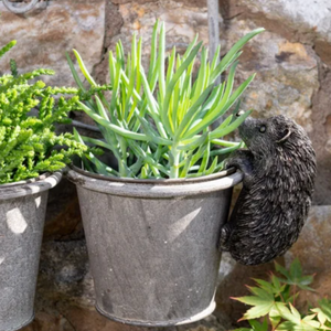 Pot Buddy Hedgehog - Plant Pot Hanger | www.gardening.com
