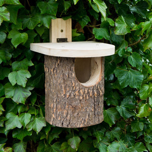 Natural Log Robin Nesting Box | www.JustGardening.com