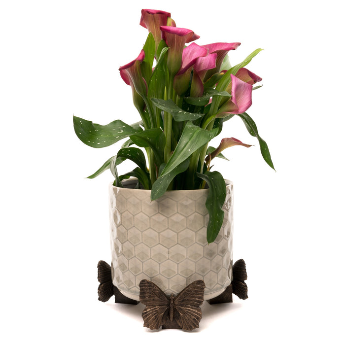 Potty Feet 'Butterfly' - Plant Pot Feet (Set of 3)