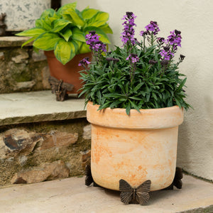 Butterfly Plant Pot Feet | Butterfly Potty Feet | www.justgardening.com