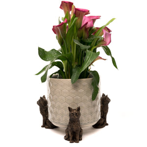Cat - Plant Pot Feet | Cat - Potty Feet | www.justgardening.com