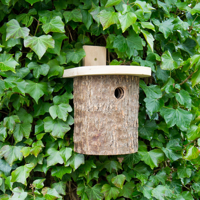 Wildlife World Natural Log Blue Tit Nesting Box