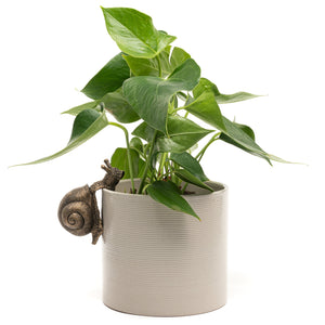 Snail Plant Pot Hanger | Plant Pot Buddy | www.justgardening.com