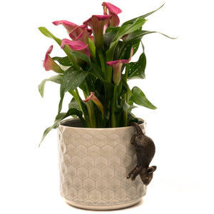 Pot Buddy 'Mouse' - Plant Pot Hanger | www.justgardening.com