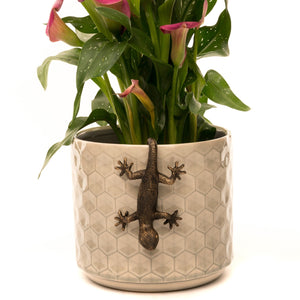 Pot Buddy 'Gecko' - Plant Pot Hanger | www.justgardening.com
