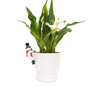 Pot Buddy 'Christmas Snowman' - Plant Pot Hanger | www.justgardening.com