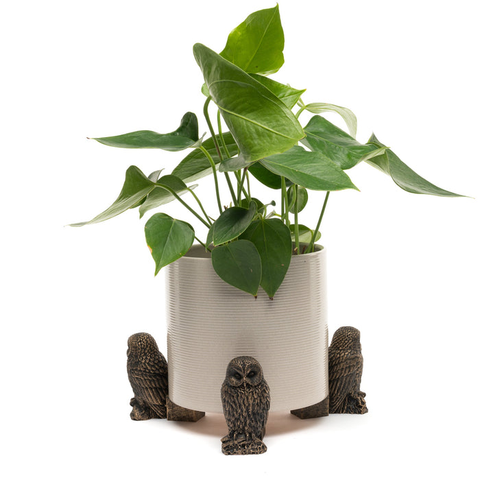 Potty Feet 'Owl' - Plant Pot Feet (Set of 3)