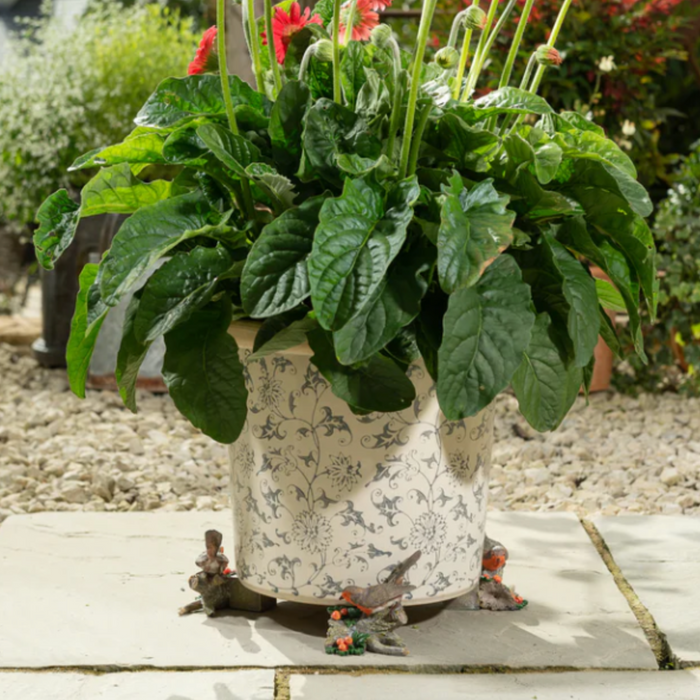 Potty Feet 'Robin' - Plant Pot Feet (Set of 3)