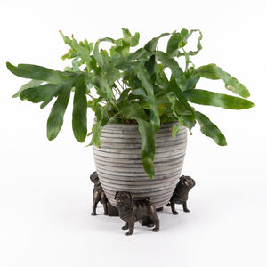 Pug - Plant Pot Feet | Pug - Potty Feet | www.justgardening.com