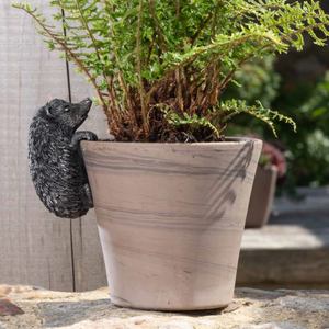Pot Buddy Hedgehog - Plant Pot Hanger | www.justgardening.com