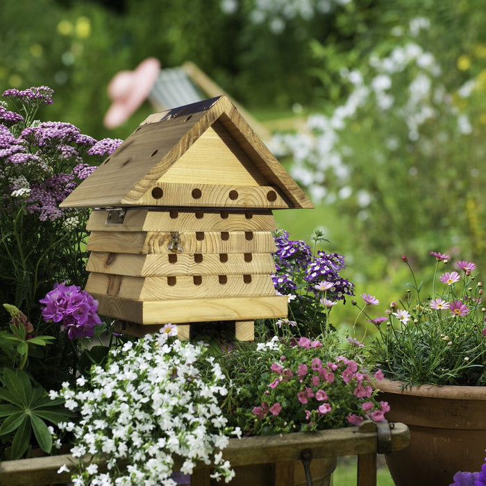 Wildlife World Solitary Bee Hive