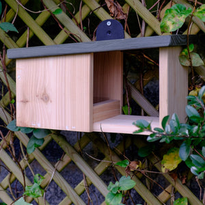Wooden Robin Nest Box | www.JustGardening.com