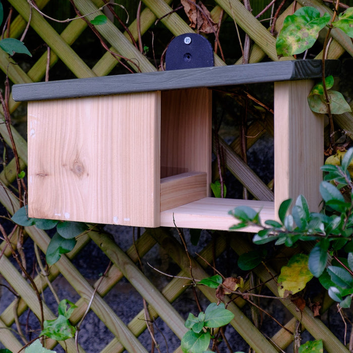 Wildlife World Wooden Robin Nest Box