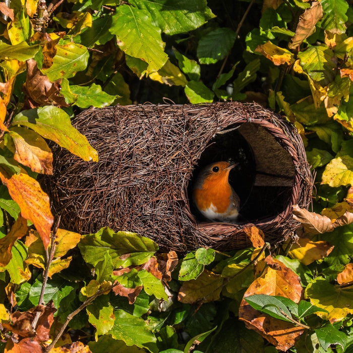 Wildlife World Brushwood Robin Nester