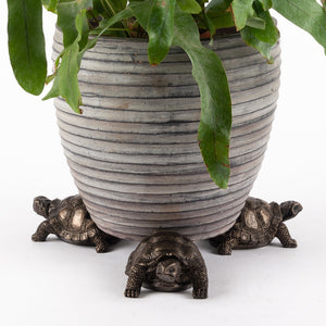 Tortoise Plant Pot Feet | Tortoise Potty Feet | www.justgardening.com
