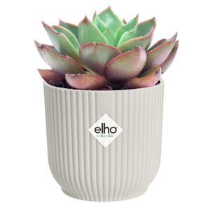Elho Vibes Fold Round Mini Indoor Flower Pot (11cm) - Silky White | www.justgardening.com