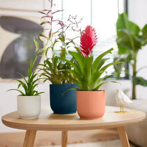 Elho Vibes Fold Round Indoor Flower Pots | www.justgardening.com