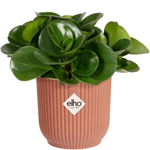 Elho Vibes Fold Round Indoor Flower Pot (18cm) - Delicate Pink | www.justgardening.com