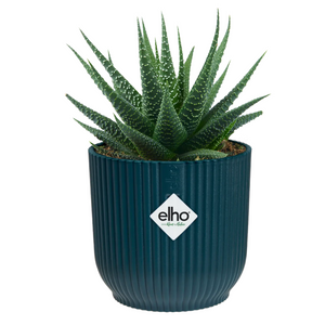 Elho Vibes Fold Round Indoor Flower Pot (18cm) - Deep Blue | www.justgardening.com