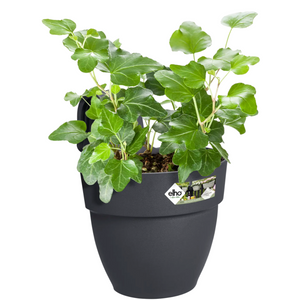 Elho Vibia Campana Easy Hanger (Small) - Anthracite | www.justgardening.com