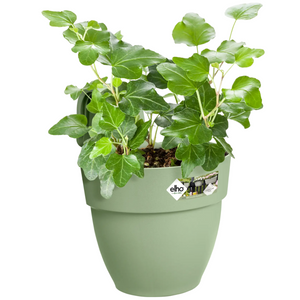 Elho Vibia Campana Easy Hanger (Small) - Pistachio Green | www.justgardening.com