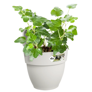 elho Vibia Campana Easy Hanger (Small) - Silky White | www.justgardening.com